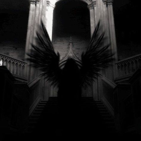 Angel Dark Aesthetic, Black Wings Aesthetic, Angel Widget, Dark Angelcore Aesthetic, Dark Ethereal Aesthetic, The Zodiac Academy, Dark Angelcore, Mia Corvere, Zodiac Academy Aesthetic