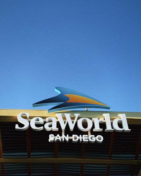 Family funday at @seaworldsandiego 🐠🦀🐬🦞🐳 #SeaWorldSanDiego #ad Seaworld San Diego Aesthetic, San Diego Aesthetic, Seaworld San Diego, Sea World, Aquariums, Good Day, San Diego, Quick Saves