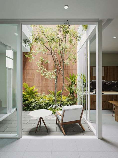 Indoor Atrium Internal Courtyard, Internal Courtyard Garden, Atrium House, Indoor Courtyard, Courtyard Gardens Design, Courtyard Design, Internal Courtyard, Casa Patio, Home Garden Design