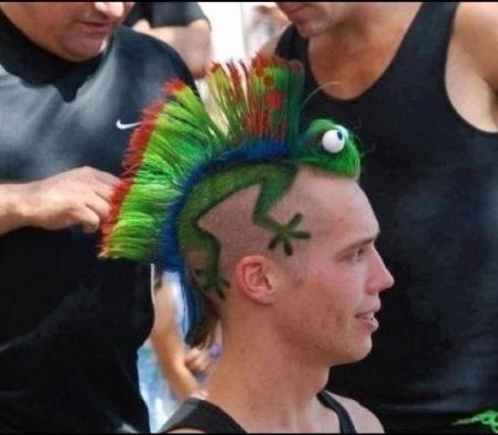 Iguana haircut Crazy Hairstyles, Creative Haircuts, Poorly Dressed, Wacky Hair, Crazy Hair Day At School, Hair Tattoos, Athletic Hairstyles, Corte De Cabelo Masculino, Curly Bob Hairstyles