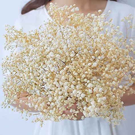 AmazonSmile: beerfingo Dried-Flowers-Babys-Breath-Bouquet-17.2 inch 1500+ Ivory White Flowers, Natural Gypsophila Branches for Home Decor, Wedding, Table Vase Decor, Dried Flowers for Vase,Dry Flowers : Home & Kitchen Table Decor Diy, Gypsophila Flower, Breath Flowers, Kunming, Home Decor Wedding, Flower Soft, Dry Flowers, Wedding Table Decor, Flower Ornaments