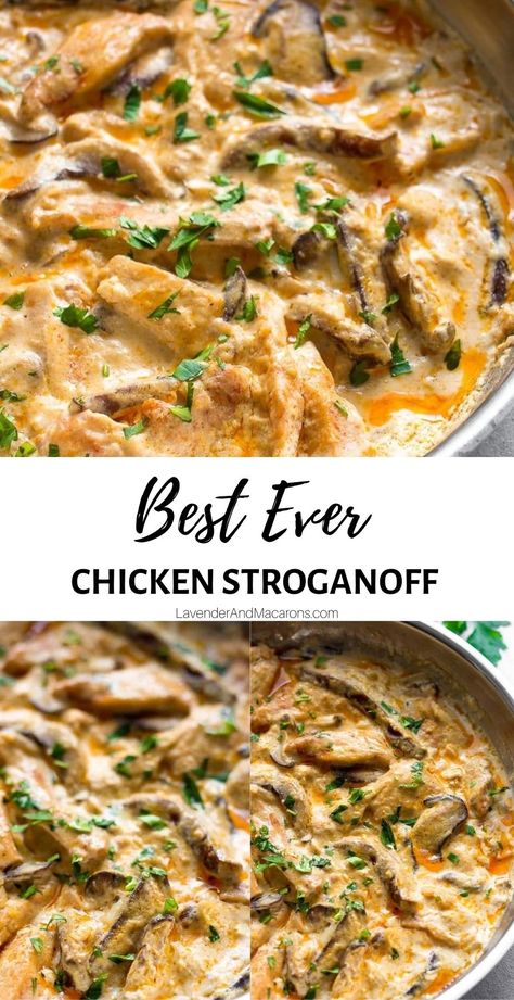 Chicken Pasta Recipes With Sour Cream, Chicken In Sour Cream Sauce, Sour Cream Chicken Recipes Easy, Chicken With Sour Cream Sauce, Recipes With Chicken And Sour Cream, Chicken Tenderloin Recipes With Rice, Chicken Recipe With Sour Cream, Cream Of Chicken Sauce Recipes, Sour Cream And Chicken Recipes