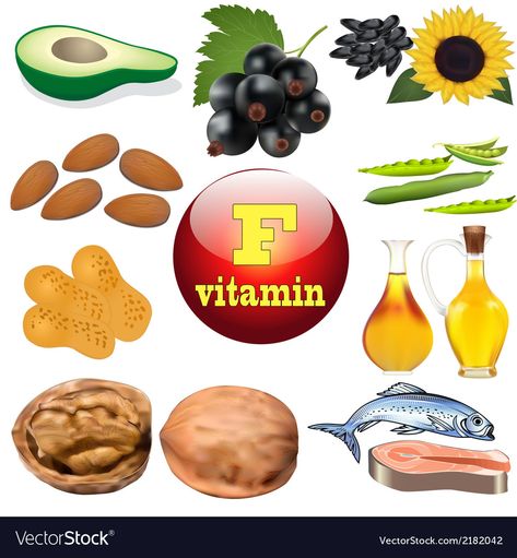 Vitamin F content plant Royalty Free Vector Image Fish Oil Vitamins, Food To Gain Muscle, Muscle Structure, Casein Protein, Poor Nutrition, Vitamin F, Plant Vector, Well Balanced Diet, Whey Protein Isolate