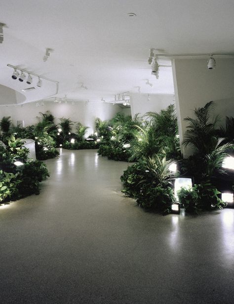 G A L L O W H I L L Milk Photo, Garden Installation, Nam June Paik, Plant Installation, Banana Milk, Guggenheim Museum, Manama, Plant Art, Land Art