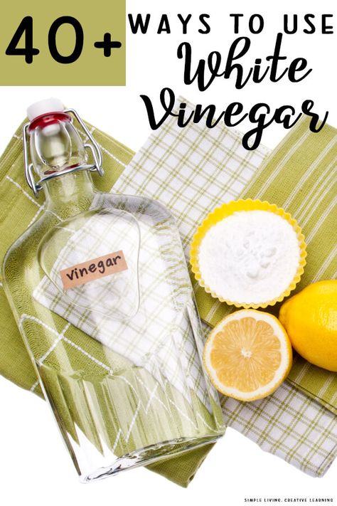 Read on to learn some fascinating ways that you can use white vinegar around your home to clean and disinfect it naturally. Vinegar For Cleaning, Vinegar Cleaning, Creative Learning, Living Ideas, White Vinegar, Food Printables, Natural Living, Frugal Living, Simple Living