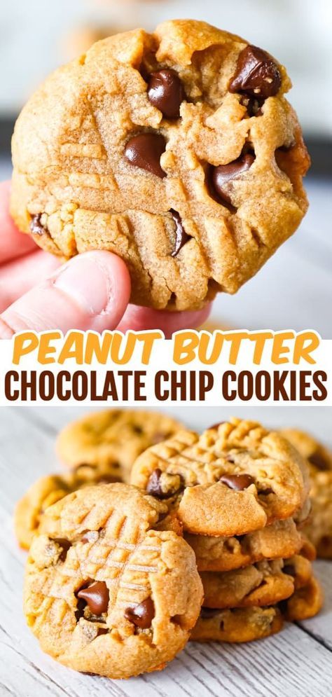 Peanut Butter Chocolate Chip Cookies are simple and delicious peanut butter cookies loaded with semi sweet chocolate chips. Homemade Peanut Butter Cookies, Butter Desserts, Chewy Peanut Butter Cookies, Banana Oatmeal Cookies, Peanut Butter Chocolate Chip Cookies, Pudding Cookies, Chocolate Peanut Butter Cookies, Choc Chip Cookies, Homemade Peanut Butter