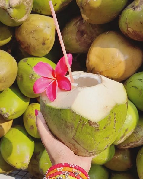 Tender Coconut Aesthetic, Summer Sunny Aesthetic, Summer Aesthetic Indian, Desi Summer Aesthetic, Coconut Drink Aesthetic, Coconut Water Aesthetic, Indian Summer Aesthetic, Summer Academia, Summer Strike