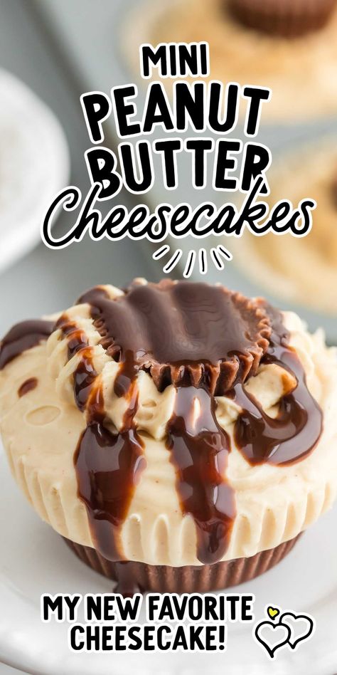 The perfect combination of peanut butter and chocolate makes these mini peanut butter cheesecakes a delicious dessert choice. Mini Peanut Butter Cup Cheesecake, Reese’s Pb Cup Dessert, Peanut Butter Mini Cheesecakes, Chocolate Peanut Butter No Bake Cheesecake Bars, No Bake Peanut Butter Cheesecake Bites, Mini Peanut Butter Cheesecake, Reese's Peanut Butter Cheesecake, Peanut Butter Cheesecake Recipes, Icebox Cakes