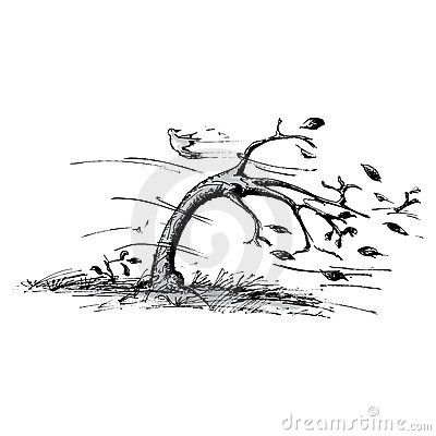 Tree In Black And White | of a tree blowing in the wind. This is the black and white ... Wind Tattoo, Wind Drawing, Wild Is The Wind, Wind Art, Tree Sketches, Landscape Sketch, Tree Drawing, Tree Tattoo, Windy Day