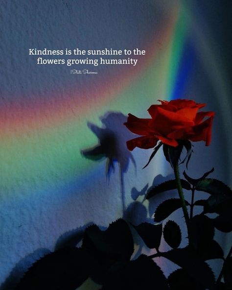 Kindness is the sunshine to the flowers growing humanity Flowers Growing, Physical Beauty, Wasting My Time, Let It Go, Poetry Quotes, Morning Quotes, Good Morning Quotes, Words Quotes, Letting Go