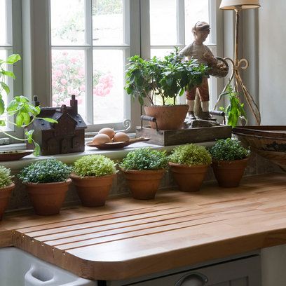 I'm a sucker for indoor herb gardens! Boho Plant Decor, Granny Chic Decor, Antique Cake Stands, Modern Design Trends, Winter Planter, Indoor Herb, Indoor Herb Garden, Indoor Gardens, Herbs Indoors