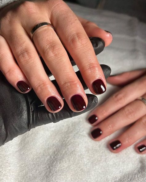 Short Merlot Nails, Short Wine Color Nails, Maroon Shellac Nails, Short Dark Fall Nails, Classy Gel Manicure, Deep Nail Colors, Maroon Nails Short, Short Maroon Nails, Maroon Short Nails