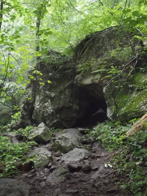 Overgrown Cave Aesthetic, Cave Aethstetic, Cave Astetic, Cave In The Woods, Cave Home Aesthetic, Caves Aesthetics, Cave In Forest, Caves Aesthetic, Aesthetic Cave