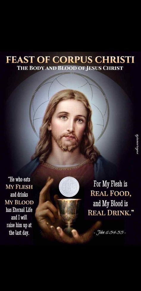 Corpus Christi Catholic, Biblical Pictures, Feast Of Corpus Christi, Anima Christi, Mary Pictures, Jesus And Mary Pictures, Bible Passages, Catholic Quotes, Tuesday Morning