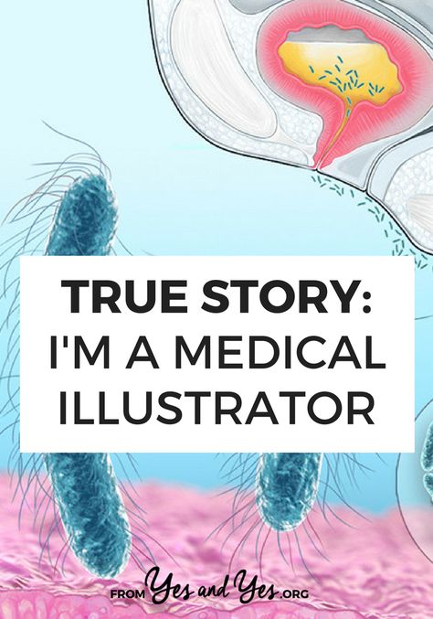 What's it like to work as a medical illustrator? If you're an artist or you love drawing, this might be the career for you! Medical Illustration Design, Medical Illustration Art, Medical Design Graphics, November Aesthetic, Medical Illustrations, Face Anatomy, Anatomy Tutorial, Medical Careers, Creative Jobs