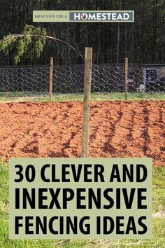 Garden Fence Ideas Diy Cheap, Cheap Fencing, Diy Fence Ideas Cheap, Fence Ideas Garden, Fence Gardening, Garden Fencing Ideas, Garden Scarecrow, Diy Dog Fence, Cheap Garden Fencing