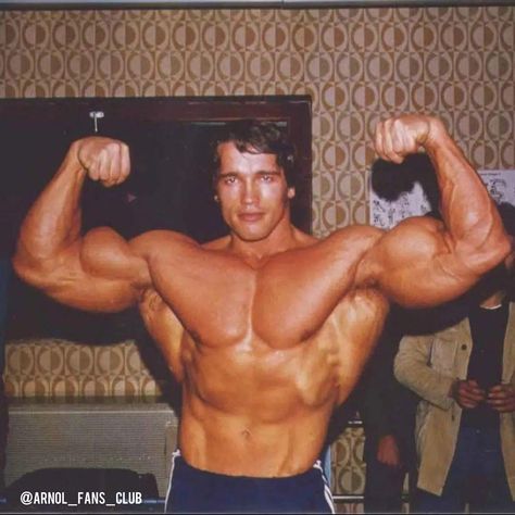 Arnold Schwarzenegger Muscle, Arnold Bodybuilding, Arnold Schwarzenegger Bodybuilding, Best Bodybuilder, Schwarzenegger Bodybuilding, Bodybuilding Pictures, Pumping Iron, Celebrity Workout, Body Builder