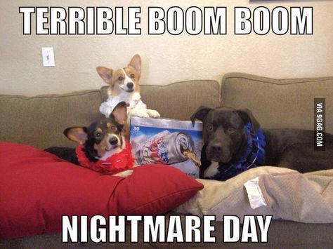 Happy 4th, or as your dogs may know it... 4th Of July Humor, 4th Of July Meme, Uber Humor, Birthday Quotes Funny, Funny Wallpaper, Boom Boom, Friends Quotes Funny, Happy 4 Of July, Animal Quotes