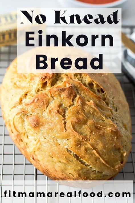 Bread Dutch Oven, Ancient Grains Bread, Fancy Bread, Einkorn Bread, Einkorn Recipes, Impress Yourself, Sandwich Sauces, Dutch Oven Bread, Einkorn Flour