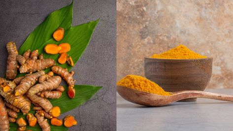 Raw Turmeric vs Turmeric Powder: Which is healthier? | Food News Raw Turmeric, Tumeric Powder, Fresh Turmeric, Healthier Food, Turmeric Powder, Daily Routines, Traditional Medicine, Spice Blends, Organic Farming