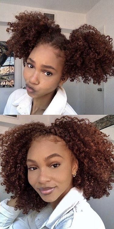 Brown Hair Dark Skin, Dark Ginger Hair, Curly Hair Brown, Brown Hair Dark, Best Lace Front Wigs, Cabello Afro Natural, Dyed Curly Hair, Highlights Curly Hair, Honey Brown Hair