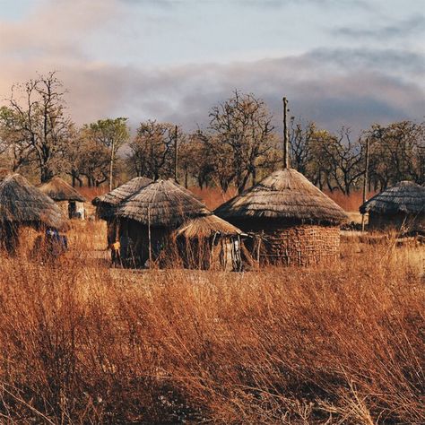 The traditional houses long existed in Ghana as far back as the 10th century and can still be found in the rural areas! These houses are constructed with locally available materials -mud, thatch, grass – hence have a lesser durability compared to modern houses. The structure, look and materials used in traditional housing are largely dependent on the weather conditions in the location, available materials and ethnic groups. African Architecture, Thatched House, Mud House, Traditional Houses, Modern Houses, Rural Area, Forest House, Weather Conditions, Ghana