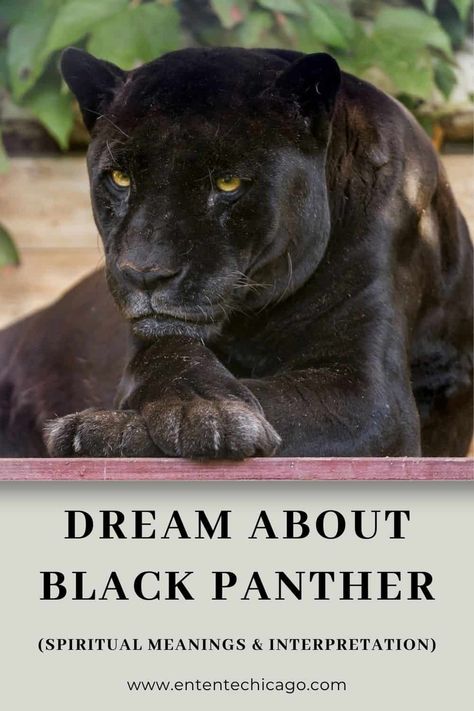 Black Panther Spirit Animal Meaning, Black Panther Symbolism, Black Panther Meaning, Panther Symbolism, Panther Meaning, Dreams Interpretation, Black Panther Animal, Flag Tattoos, Dream Meaning