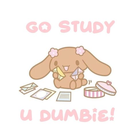 Cinnamoroll Studying, My Melody Studying, Sanrio Studying, Hello Kitty Studying, Kawaii Study, Study Icon, Kida Disney, Go Study, Kitchen Organizing Ideas