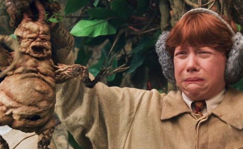 Rupert Grint Harry Potter Mandrake, Meme Harry Potter, Film Harry Potter, Funny Baby Jokes, Citate Harry Potter, Glume Harry Potter, Baby Jokes, Ronald Weasley, Theme Harry Potter