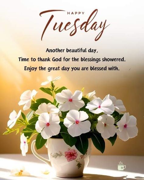 Happy Tuesday Blessings, Tuesday Blessings Mornings, Happy Tuesday Good Morning, Greetings English, Good Morning Tuesday Wishes, Blessed Tuesday, Beautiful Morning Images, Good Morning Happy Tuesday, Happy Tuesday Images