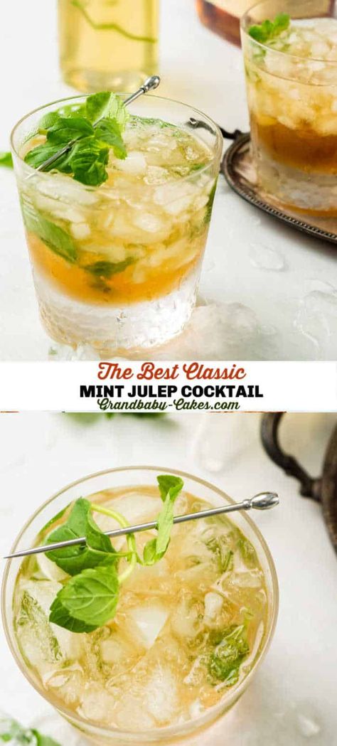 Mint Mocktail, Julep Recipe, Mint Julep Recipe, Mint Juleps, Mint Simple Syrup, Healty Dinner, Fall Baking Recipes, Best Cocktail Recipes, Classic Cocktail