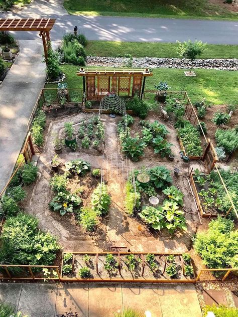 Veggie Beds, Dirt Therapy, Allotment Ideas, Vegetable Garden Design Ideas, Garden Bed Layout, Growing Garden, Church House, Florida Gardening, Potager Garden