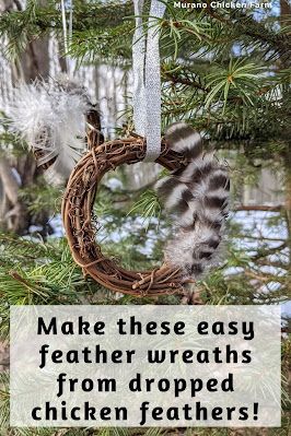 How to decorate mini grapevine wreaths with feathers. Chicken feather craft. Cute homemade Christmas decor! Diy Feather Decor, Feather Wreaths, Craft At Home, Feather Crafts Diy, Chicken Feathers, Wreath Ornaments, Chicken Pictures, Feather Diy, Feather Wreath