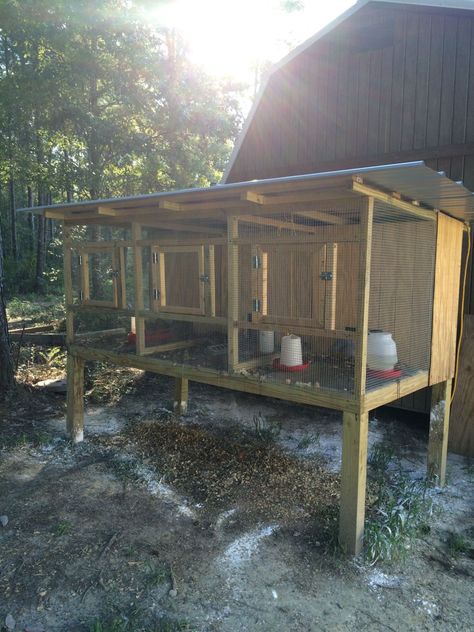 Grow Out Chicken Pen, Grow Out Pens For Chicks, Chicken Grow Out Pen, Chicken Breeding Pens, Poultry Farm Design, Big Chicken, Walk In Chicken Coop, Smart Farm, How To Raise Chickens