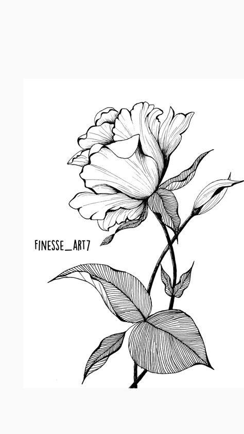 Unipen Drawings, Pretty Drawings Of Flowers, Ink Drawing Ideas, Floral Art Drawing, Flower Design Drawing, Floral Design Drawing, Botanical Sketches, Floral Drawings, Fineliner Art