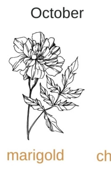 Merigold Aesthetic Flower Tattoo, Marigold Flower Drawing, Marigold Tattoo, Mandela Tattoo, Sketched Flowers, February Birth Flowers, Birth Flower Tattoos, Doodle Ideas, Drawing Wallpaper