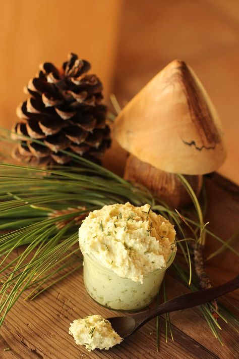 Evergreen Salt Scrub Abies Balsamea, Fir Needle Essential Oil, Learning Herbs, Wild Foraging, Pinus Sylvestris, Pine Essential Oil, Homemade Scrub, Diy Lotion, Homemade Bath