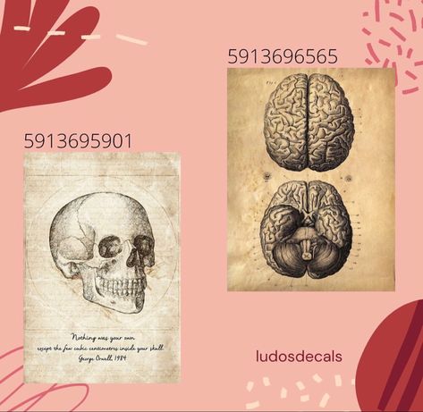 Aesthetic Id Codes For Bloxburg, Dvd Bloxburg Codes, Realistic Carpet Bloxburg, Goth Roblox Decal Id, Bloxburg Biology Decals, Roblox Bloxburg School Decals, Roblox Decal Codes Vintage, Bloxburg Horror Movie Decals, Doctor Decals Bloxburg