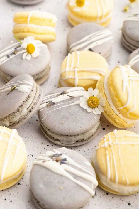 Looking for a tried and tested vegan macaron recipe? You've come to the right place! https://www.worldofvegan.com/vegan-macarons Dairy Free Pudding, Making Macarons, Vegan Macarons, Vegan Buttercream, How To Make Macarons, Plant Based Desserts, Buttercream Filling, Macaron Recipe, Gel Food Coloring