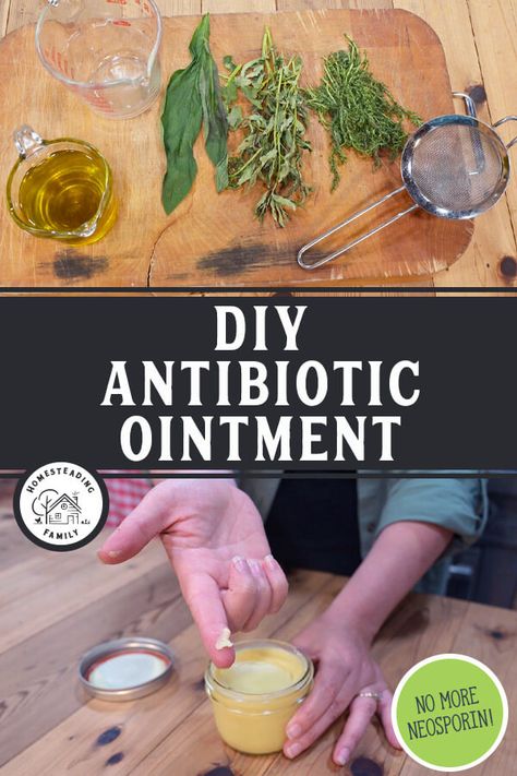 Ditch over-the-counter Neosporin and make your own healthy and soothing antibiotic ointment at home! This easy DIY is the perfect use for those home-grown medicinal herbs (or easily use dried herbs you can buy in bulk). Homemade Antibiotic, Medicinal Herbs Remedies, Antibiotic Ointment, Diy Medicine, Herbal Medicine Recipes, Herbal Remedies Recipes, Diy Herbal Remedies, Medicinal Herbs Garden, Immune Boosting Foods