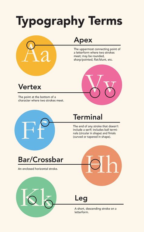 Typography Infographic Design, Types Of Graphic Design Styles, Typography Theory, Types Of Typography, Anatomy Terms, Typography Anatomy, Typography Infographic, Anatomy Of Type, Typography Types