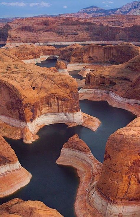 Canyon Lake is one of four reservoirs that were formed by the damming of the Salt River in the U.S. state of Arizona.The lake was formed by the Mormon Flat Dam, which was completed in 1925 after two years of construction. Canyon Lake Canyon Lake Arizona, Arizona Lakes, Glen Canyon, Canyon Lake, Lake Powell, North Cascades, Arizona Usa, Red Rocks, Bryce Canyon