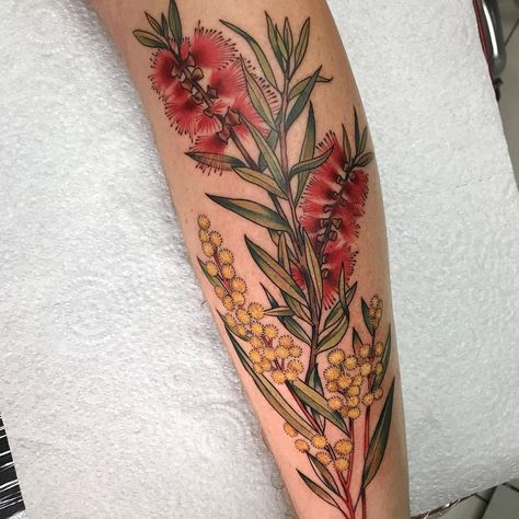 Australian Bottle Brush, Australian Wildlife Tattoo, Native Flower Tattoo Australian, Australia Native Flower Tattoo, Wattle Flower Tattoo, Australian Bush Tattoo, Australian Wattle Tattoo, Australian Native Floral Tattoo, Australian Fauna Tattoo