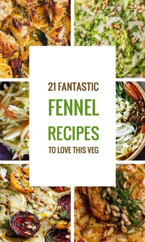 Fennel And Mushroom Recipes, Best Fennel Recipes, Ground Fennel Recipes, Shrimp And Fennel Recipes, Fennel Root Recipes, Fennel And Zucchini Recipes, Fennel Side Dish, Fennel Dinner Recipes, Recipes For Fennel