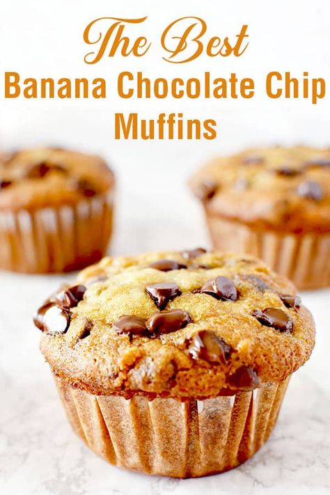 Banana Muffin Recipe Easy Healthy, Dairy Free Banana Bread Muffins, Dairy Free Banana Chocolate Chip Muffins, Best Banana Chocolate Chip Muffins Moist, Banana Chocolate Chip Muffins With Sour Cream, Easy Chocolate Chip Banana Bread Muffins, Banana Muffins 2 Bananas Easy, Banana Bread Muffins No Butter, Perfect Banana Chocolate Chip Muffins