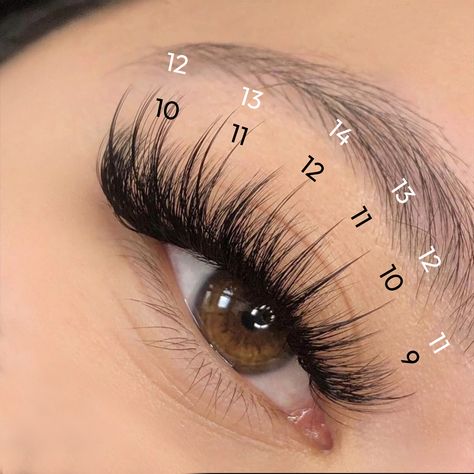 Wispy Volume Sets: Where Art Meets Lashes! Length: 9mm-14mm Curl: C or D Fans: Eyesy Lash Wispy 5D-7D fans #lashgoals #lashextensions #eyelashgame #lashaddict #lashtech #lashmap Wispy Lashes Map, 5d Lash Extensions, Wispy Set Lashes, Baby Doll Lash Map, Wispy Lashes Mapping, Wispy Volume Lash Extensions Map, Wispy Eyelash Extensions Map, Wispy Lash Extensions Styles, Wispy Volume Set