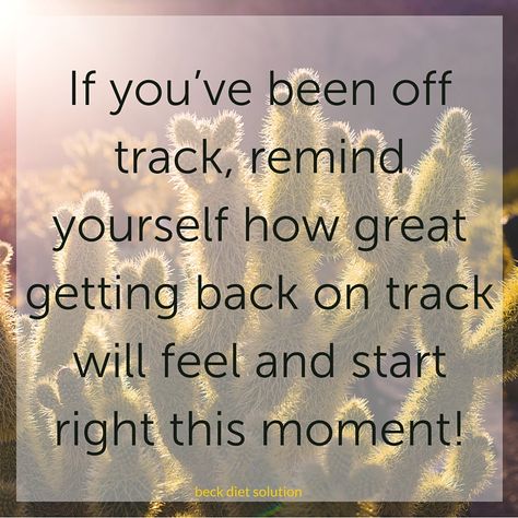 When dieters get off track, they sometimes forget how much better it feels to be in control of their eating and to be feeling good about themselves and their eating. If you’ve been off track, remind yourself how great getting back on track will feel and start right this moment! Back On Track Quotes, Beck Diet Solution, Track Quotes, Getting Back On Track, Diet Quotes, Get Back On Track, Motivation Board, Healthy Motivation, Fitness Motivation Quotes