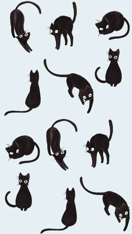 Scared Black Cat Drawing, Cat Illustration Simple, Black Cat Drawing, Black Cat Illustration, Tumblr Iphone, Cat Doodle, Black Cat Art, Wallpaper Tumblr, Cats Illustration