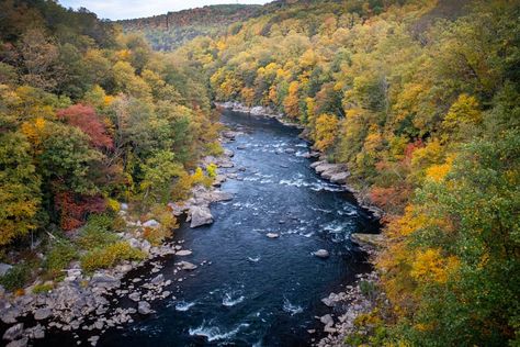 Ohiopyle State Park, The Appalachian Trail, Appalachian Trail, Hiking Trails, State Park, Travel Usa, Pennsylvania, Fall Colors, State Parks