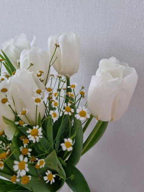 White Daisy Bridesmaid Bouquet, Tulip Daisy Bouquet, Daisy And Tulip Bouquet, Tulips And Daisy Bouquet, Bouquets With Daisies, Daisy And Tulips, White Tulip Wedding Bouquet, Rose Daisy Bouquet, White And Yellow Tulips